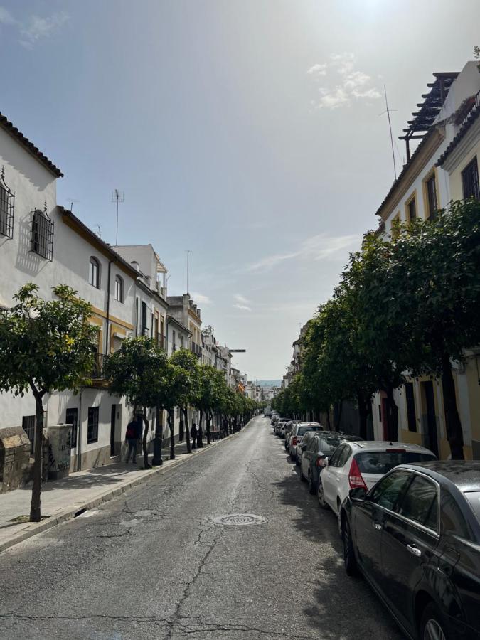 Apartamento San Fernando Córdoba Exteriér fotografie